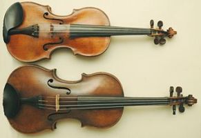 violin_viola