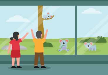 No “zoo windows” in the lesson rooms